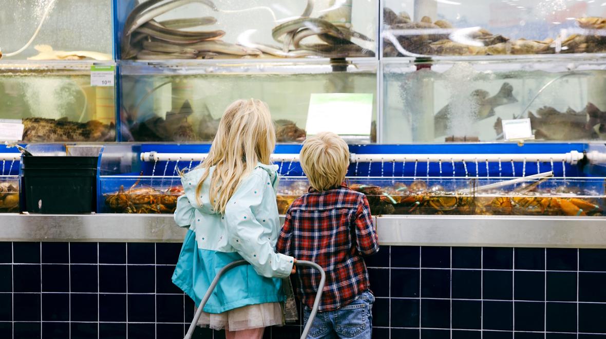 two kids looking at the fresh food for sale at T&T supermarket in Lynnwood
