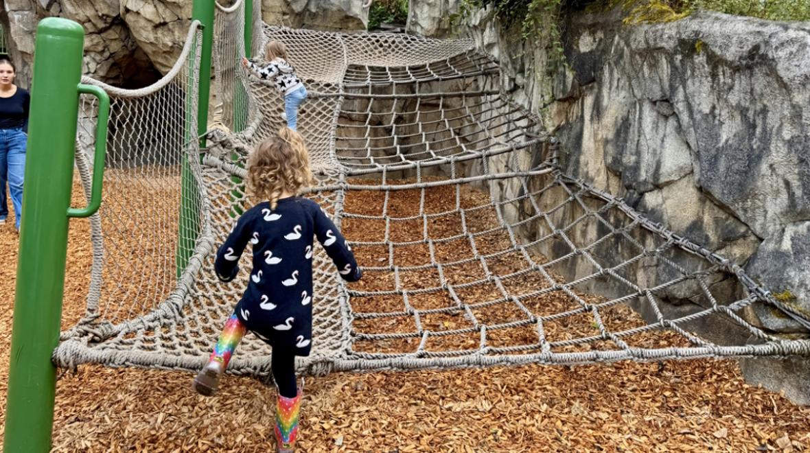 Little girl at NW Trek playground