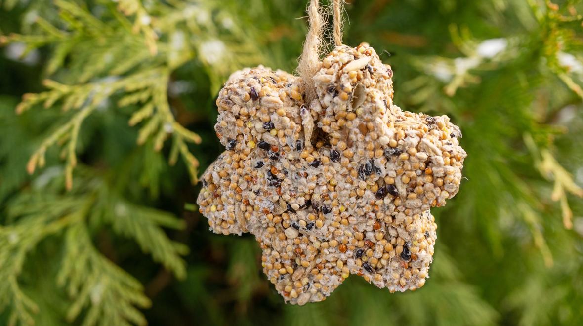 bird seed ornament
