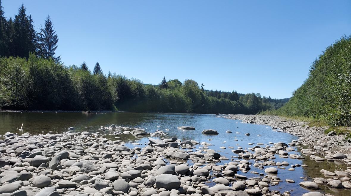 water’s edge along the Bogachiel River