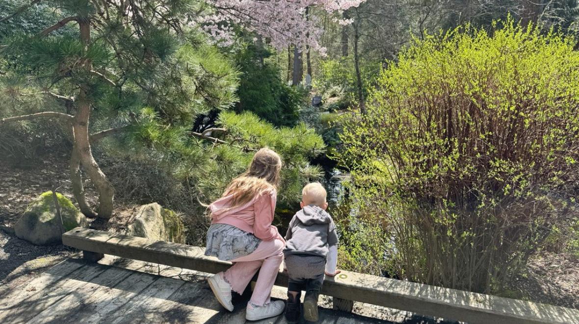 kids looking in the water at Bellevue Botanical Garden