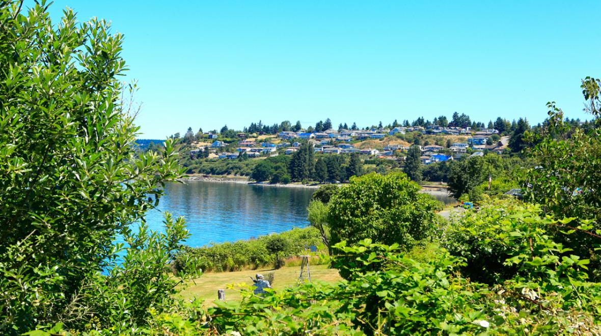 steilacoom beach park with trees and water view