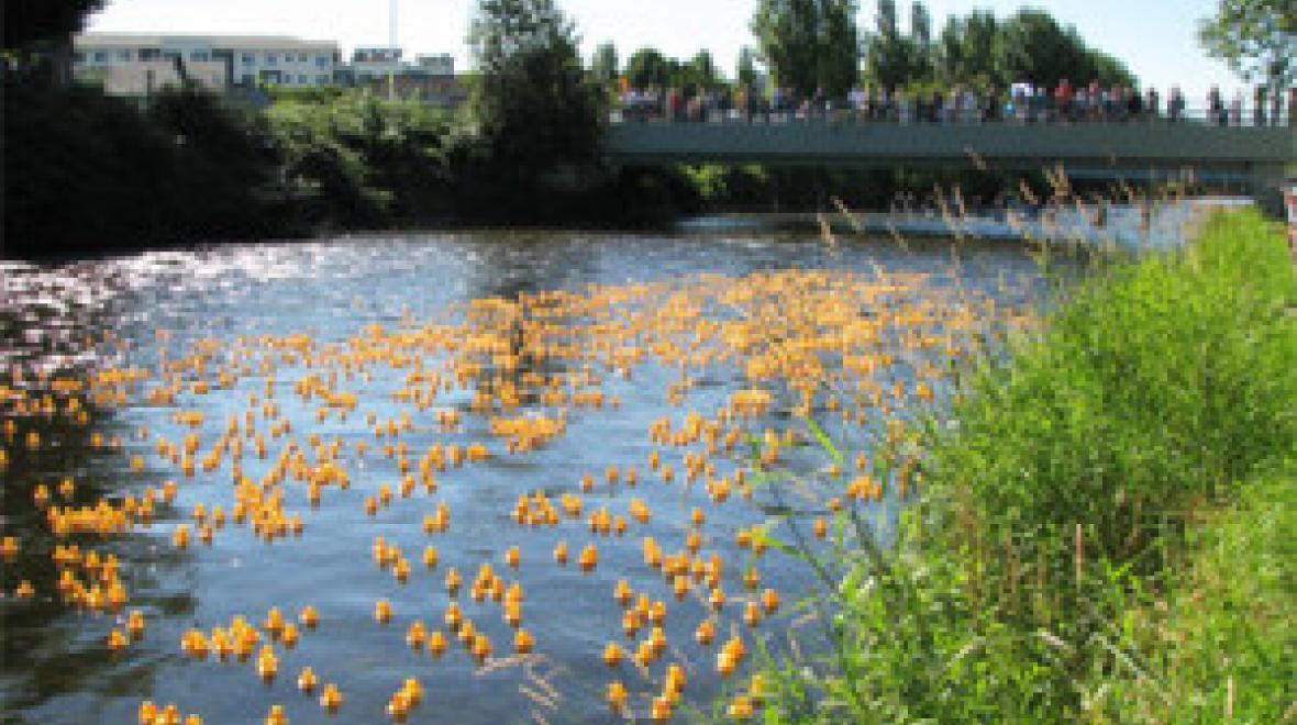 Renton River Days Seattle Area Family Fun Calendar ParentMap