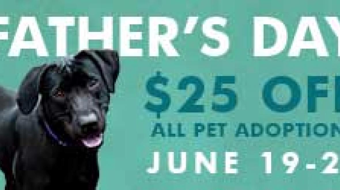 Father's Day Discount! Seattle Area Family Fun Calendar ParentMap