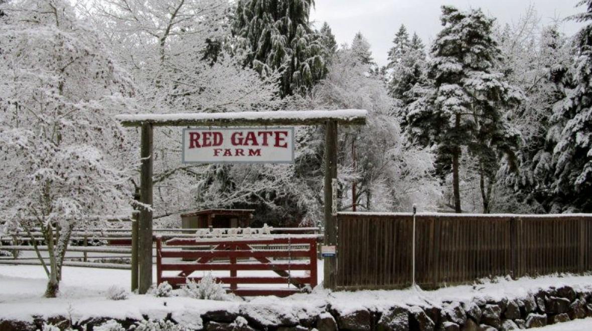 Red Gate Farm Day Camp & Riding Lesson Program