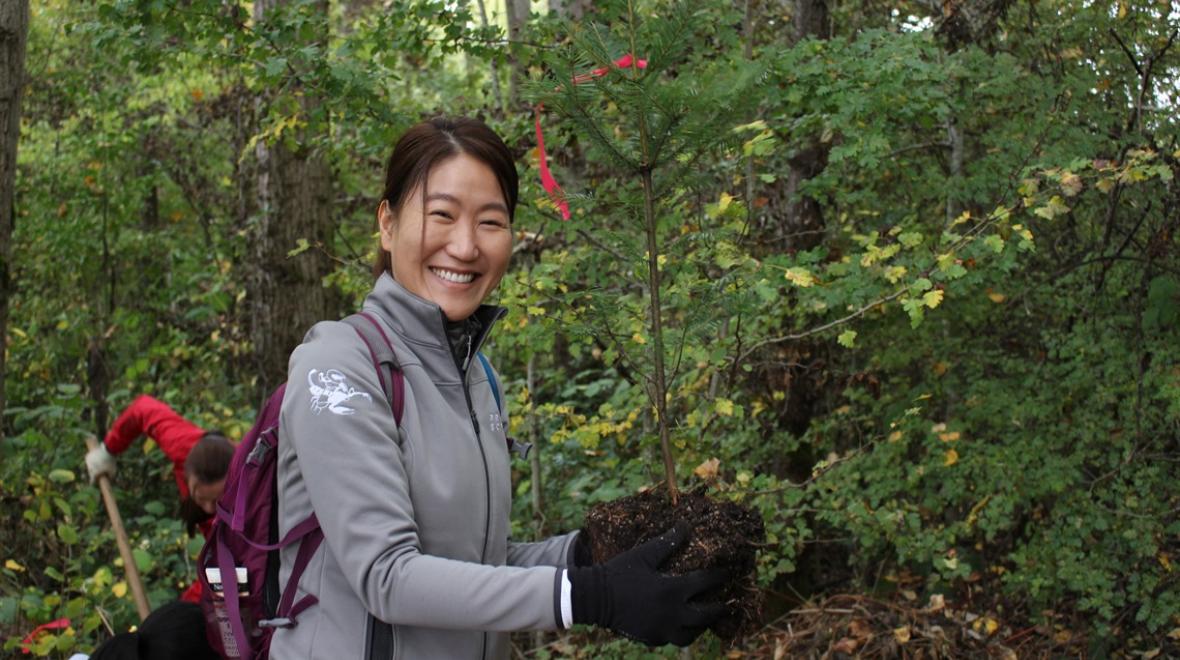 Kirkland Arbor Day Seattle Area Family Fun Calendar ParentMap