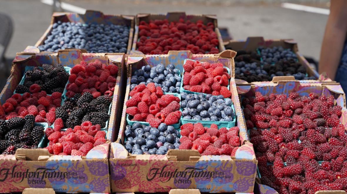 Kids Day at Des Moines Farmers Market Seattle Area Family Fun