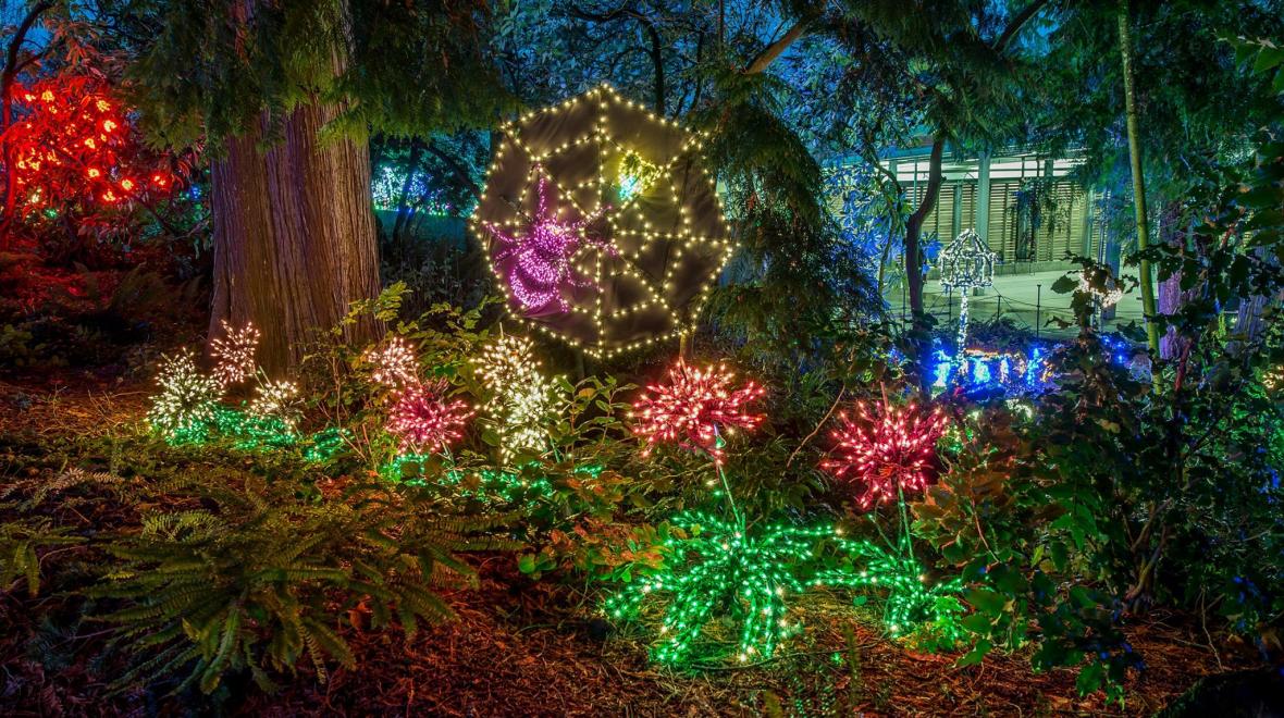 Garden D Lights At The Bellevue Botanical Garden Seattle Area
