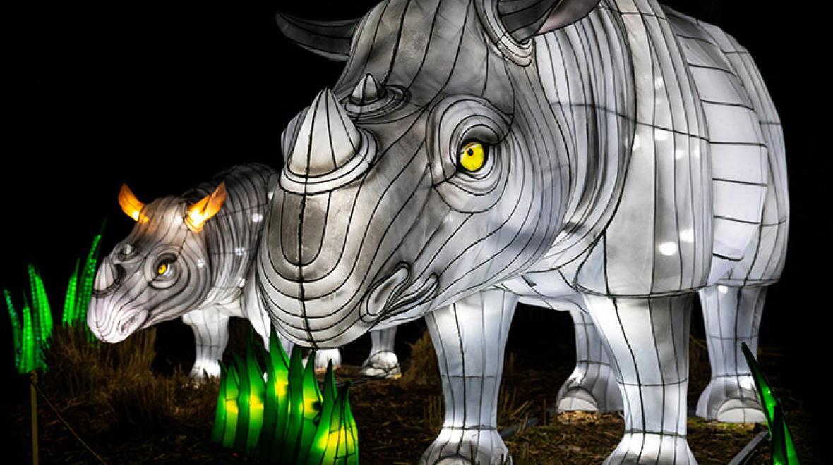 WildLanterns at Woodland Park Zoo Seattle Area Family Fun Calendar