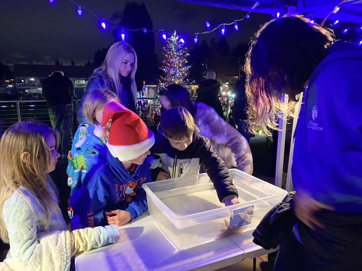 Pier Into the Night and Christmas Tree Lighting Seattle Area Family