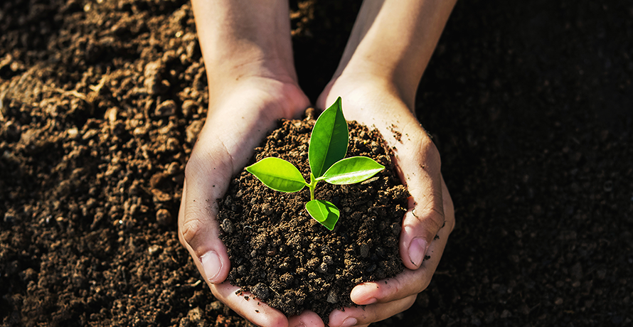 Hooray Earth Day at the Valley View Library | Seattle Area Family Fun ...