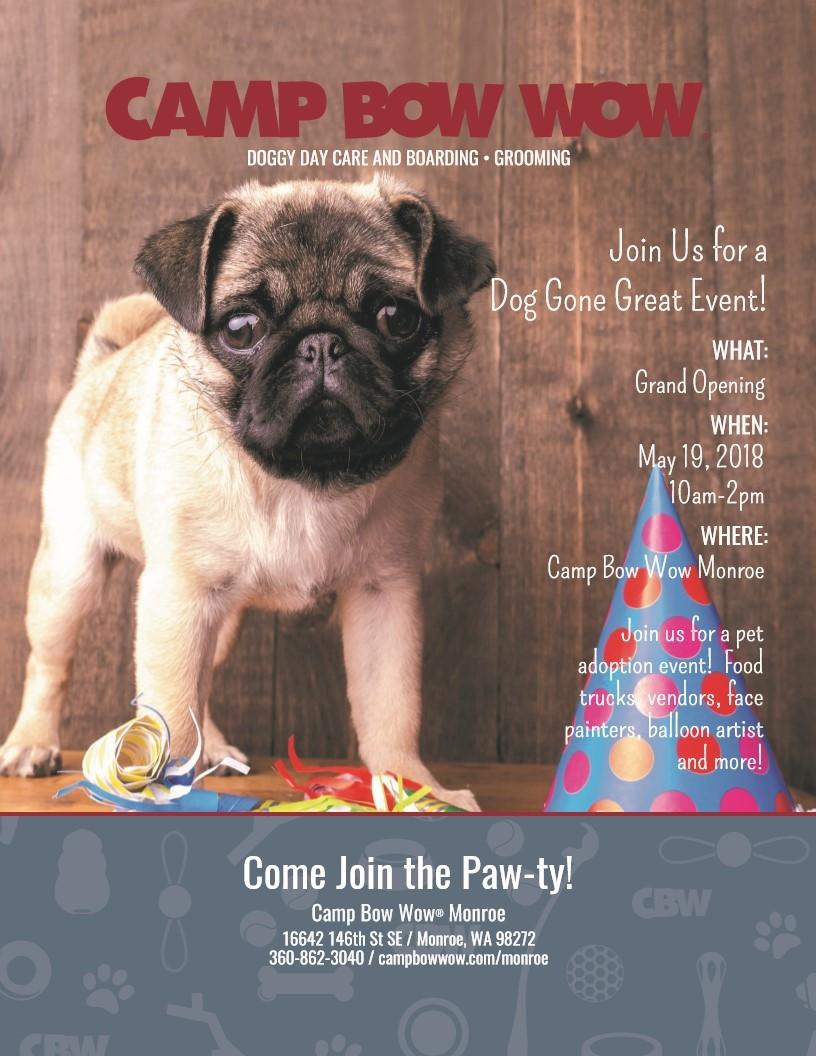 camp bow wow schedule