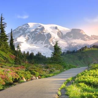 Mount Rainier