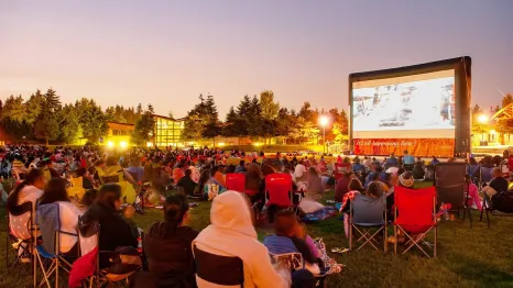 People relax at a park watching Seattle outdoor movies in summertime