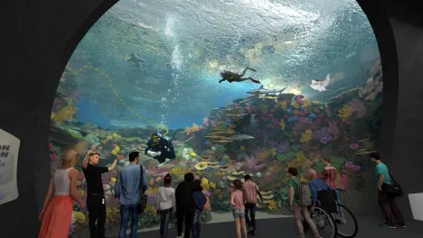 The Reef is one of the new exhibits at the Seattle Aquarium's new ocean pavilion