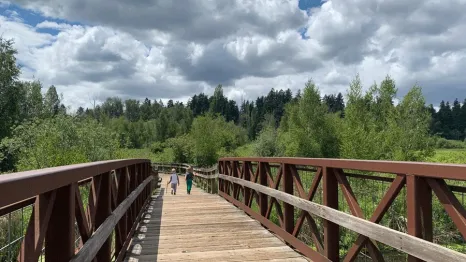 two kids walk on a hiking trail on a spring hike near Seattle