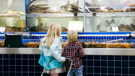two kids looking at the fresh food for sale at T&T supermarket in Lynnwood