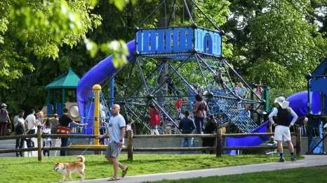 families on staycation in Redmond playing on the playground at Grass Lawn Park