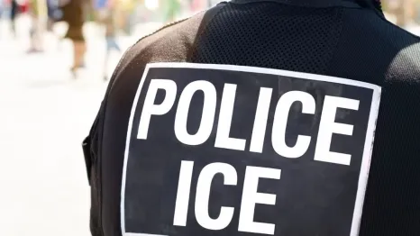 POLICE ICE marking on the back of a hi-visibility stab proof vest worn by a police officer