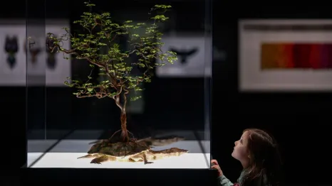 young girl stares up at a display in "Exquisite Creatures" in Seattle