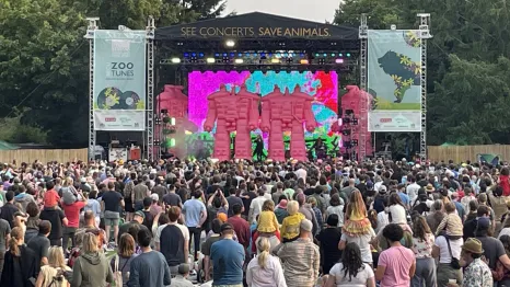The Flaming Lips at ZooTunes