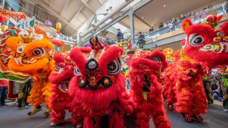 Traditional Chinese dragon lion dance lunar new year celebrations Seattle families 2026
