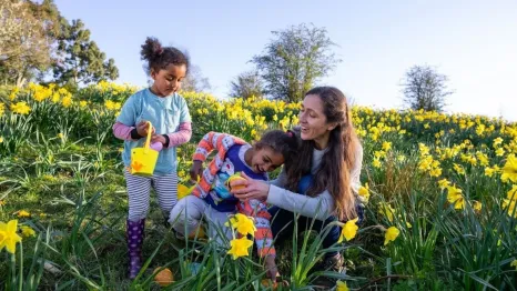 family outdoors finding easter eggs
