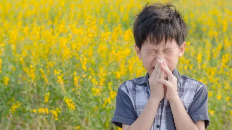 little boy in a field of yellow flowers with spring allergies