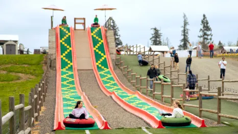 kids going down the mega slide during Baby Animals and Blooms Days at Maris Farms