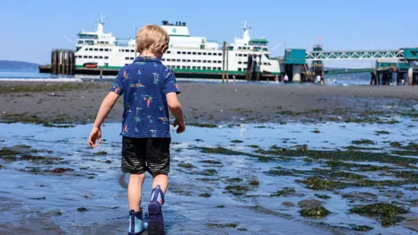 boy exploring the beach with a ferry in the background during a low tide weekend