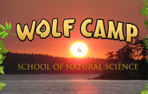 Wolf Camp & School of Natural Science