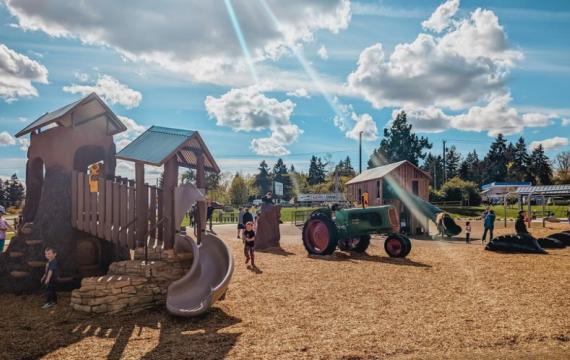  The new farm-themed playground at Edgewood Community Park. 