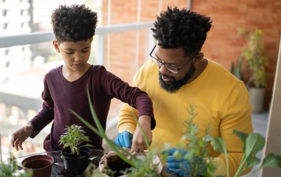 dad and son planting houseplants and connecting with nature