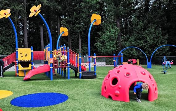 Forest Park Everett lady bug credit Natasha Dillinger