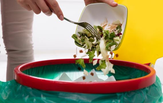 A salad being scaped into a garbage can, ways to reduce food waste and your foodprint