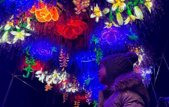 young girl looking up at "Boulevard of Blossoms" a WildLanterns display of hanging flowers at the west entrance of Woodland Park Zoo in Seattle