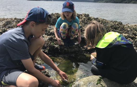 kids at a tide pool looking at creatures in the Seattle area