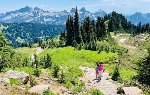 Mount Rainier hike in the summer