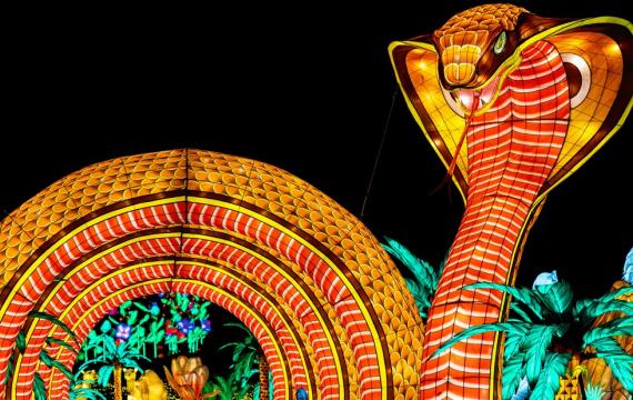 illuminated snake lantern at Woodland Park Zoo during WildLanterns, a fun family-friendly event in Seattle happening this weekend