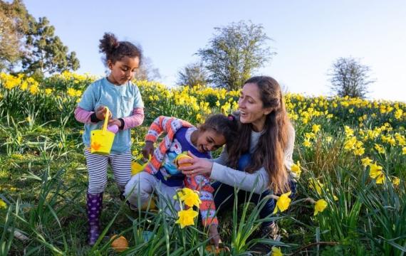 family outdoors finding easter eggs