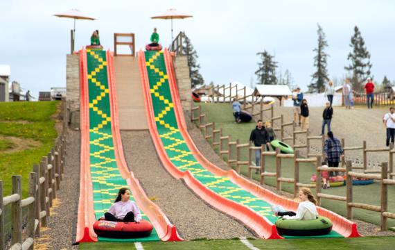 kids going down the mega slide during Baby Animals and Blooms Days at Maris Farms