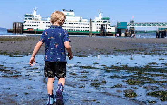 boy exploring the beach with a ferry in the background during a low tide weekend