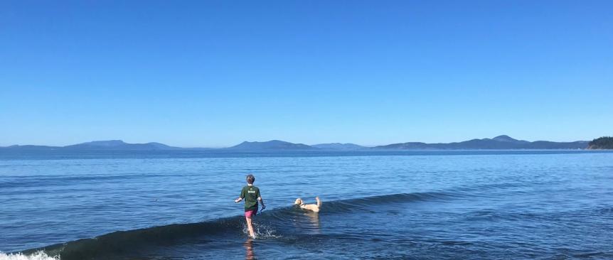 Tween kid and dog wade into the waters at Dugualla Beach on Whidbey Island with blue sky and mainland Skagit County in the background
