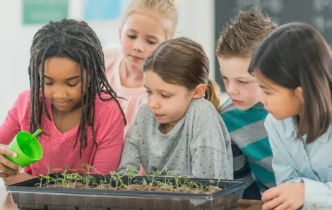 Green science in classroom