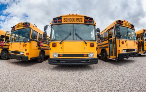 school-busses