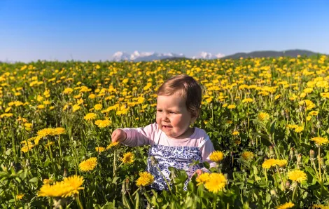 baby in field of flowers