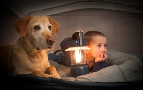 Kid and dog in tent