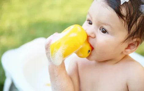 Baby eating a rubber duck 