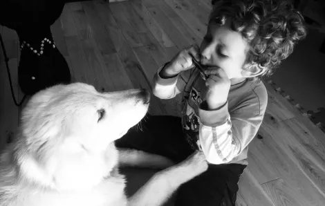 A young boy plays a harmonica for his dog
