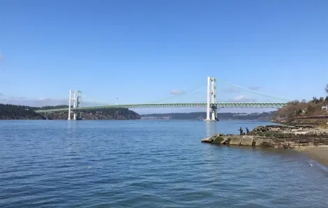 View-of-Tacoma-Narrows-Bridge-Titlow-Park-agents-of-discovery-nature-app-fun-kids-families